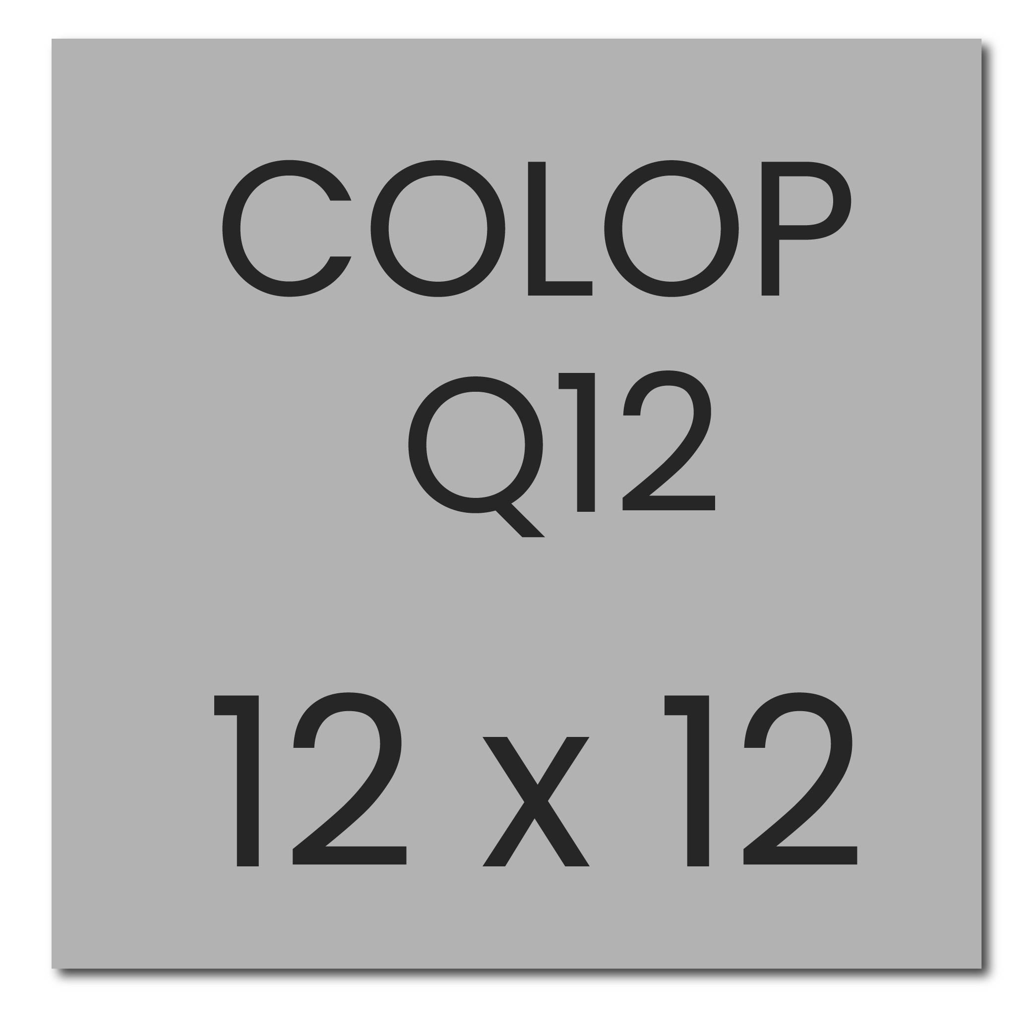 stempelplaatje colop printer q12