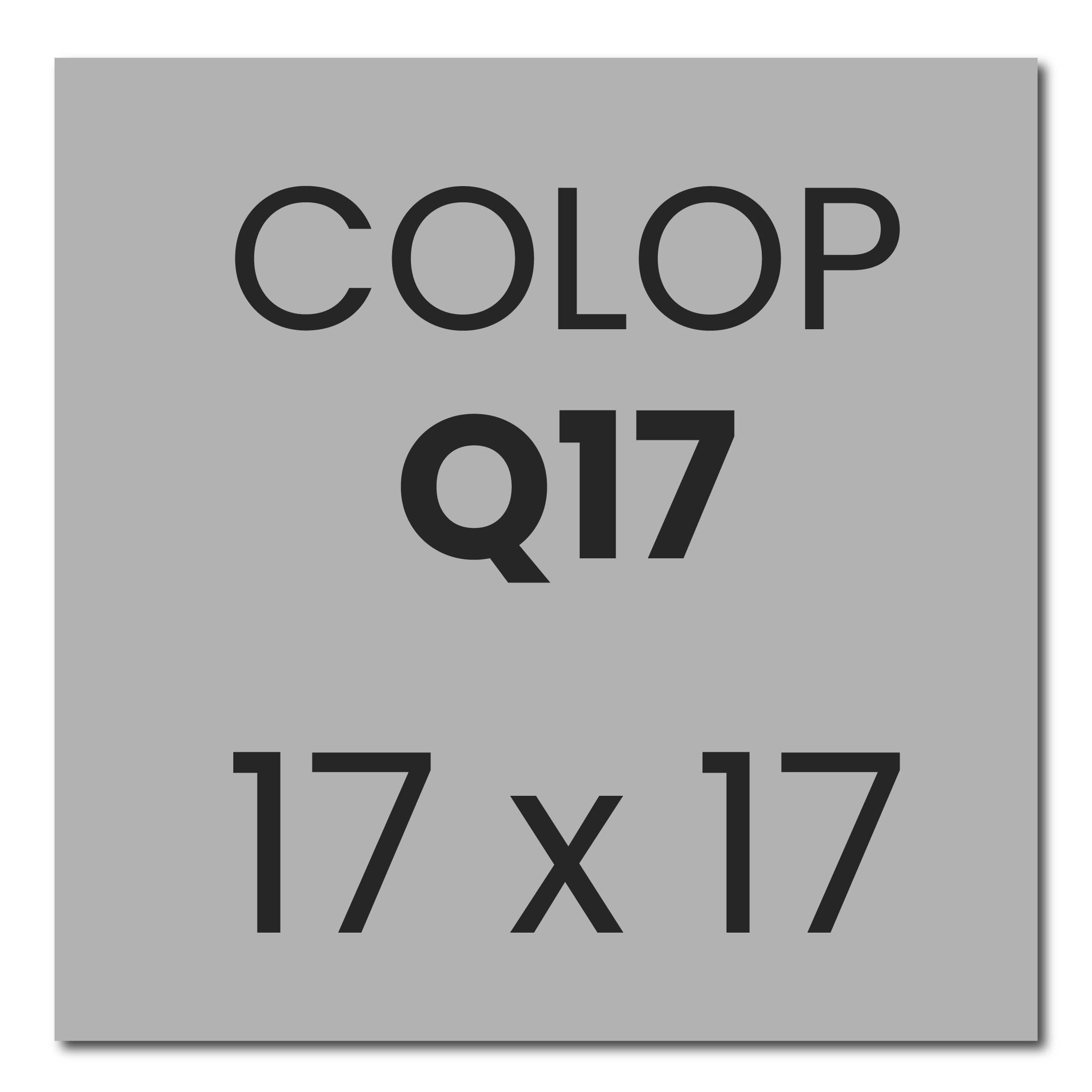 Stempelplaatje Colop Printer Q17 | Kantoorstempels.nl